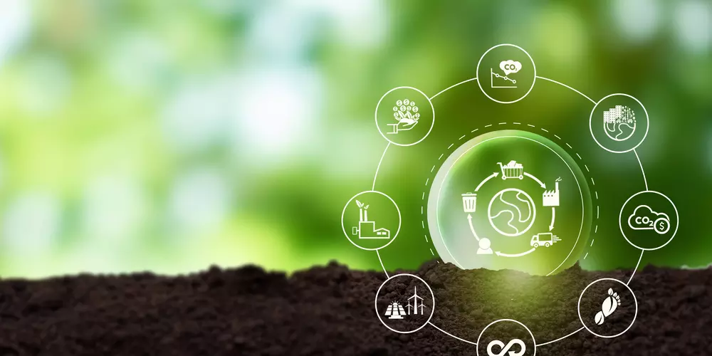 Image with the earth, leaves, and ground with various icons associated with sustainability