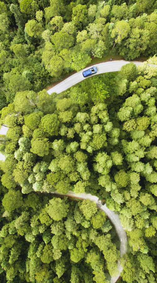 a road winds through a forest